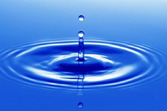 I dati del comitato “Acqua Bene Comune”