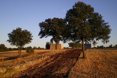 Masserie sotto le stelle, la prima Notte Bianca della campagna pugliese