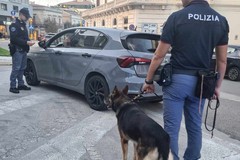 Andranno avanti i controlli di Polizia contro la criminalità diffusa