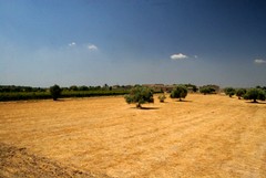 Muore durante i lavori in campagna