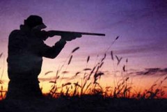 La Regione pronta a modificare la delibera di giunta che consente la caccia allo storno