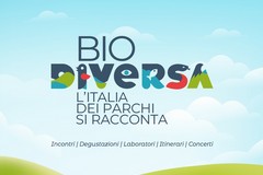 Parco dell'Alta Murgia lancia Biodiversa, la fiera delle aree protette