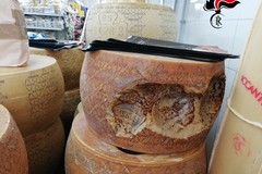 500kg di formaggi sequestrati dai Carabinieri forestali