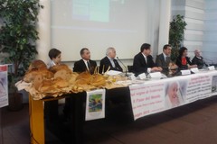 Il pane di Matera e Altamura offerti a Papa Francesco