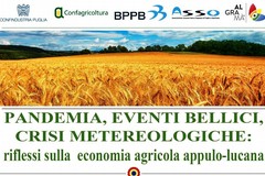 Agricoltura: gli scenari mondiali e i riflessi sull'economia