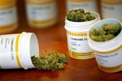 Cannabis terapeutica, trovato il Bedrocan