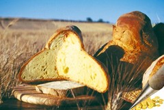 Prezzo del pane, convocato un incontro al Comune