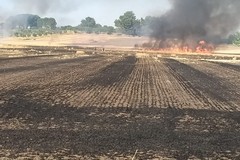 Altri incendi in campagna, danni ai terreni coltivati