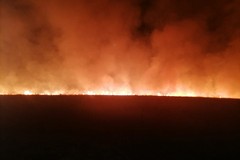 Spenti due incendi nelle campagne di Altamura