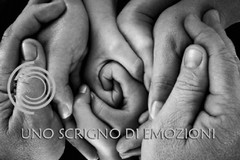 L'Associazione "Lo Scrigno" presente sul sito del MAMI