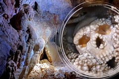 Grotta di Lamalunga e Uomo di Altamura, importante convegno di studi