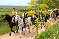 Natura a cavallo, alla scoperta del Parco dell'Alta Murgia