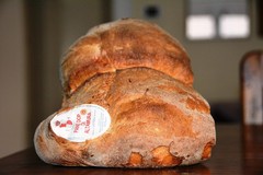 Pane di Altamura, la Regione dice sì alla proposta Unesco