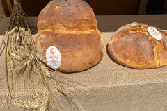 U Puén Nest: festa di comunità per due giorni