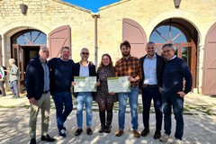 Premio innovazione a un programma di recupero della lana