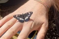 Volontariato naturalistico, un progetto del Parco