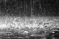 Protezione civile: allerta meteo per pioggia