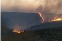 Incendi nell’Alta Murgia, richiesta di stato di calamità