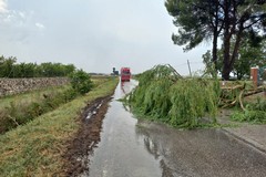 Pioggia e grandinata: disagi su strade e danni