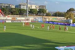 Team Altamura ferma il Cosenza, buon pari in casa