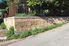 Intervenire in via Tobruk per vegetazione infestante