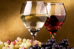 "Ridurre i consumi mondiali di alcol, allarme per i vini di Puglia"