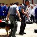  "Blitz antidroga " presso la scuola S. Francesco d'Assisi