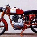  "Moto e Colli "