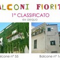 Concluso il concorso  "Balconi fioriti "