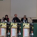 XI edizione  "Bombetta d'oro "