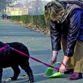 In giro ce n'è tanta, bisogna raccoglierla