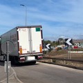 Camion fermi sulla statale 96 per protesta