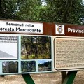 Vincono un viaggio d'istruzione nella Foresta Mercadante