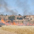 Giornata di fuochi ad Altamura, fiamme vicine a stazione servizio