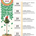 Le Radici della Libertà