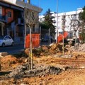 Primi alberi nel nuovo parco inclusivo in zona Carpentino