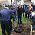 Un albero in ricordo di Vito Cristallo