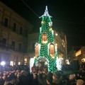 Feste con gli ulivi luminosi