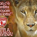 Tutto pronto per il derby murgiano con l’Fbc Gravina