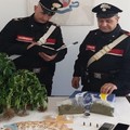 Controlli antidroga, un arresto e una denuncia