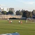 Calcio, bilancio in pareggio per le altamurane