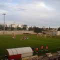 Calcio, una domenica positiva per i colori altamurani