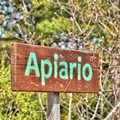“Apiari aperti” nel Parco dell’Alta Murgia