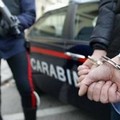 Un altamurano coinvolto nell'operazione antidroga  "Gallo Nero "