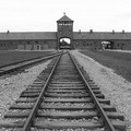 Shoah, per non dimenticare...