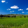 Gal Terre di Murgia presenta i contenuti del Piano di Sviluppo Locale