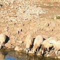 La presenza dell'acqua sull'Alta Murgia