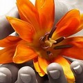 Psicologia, seminari teorico esperienziali
