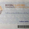 Il Comune di Altamura ricerca personale per lavoro occasionale