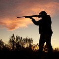 Ecco sul BUR la  "famosa " nuova Legge regionale su caccia e protezione della fauna selvatica.
